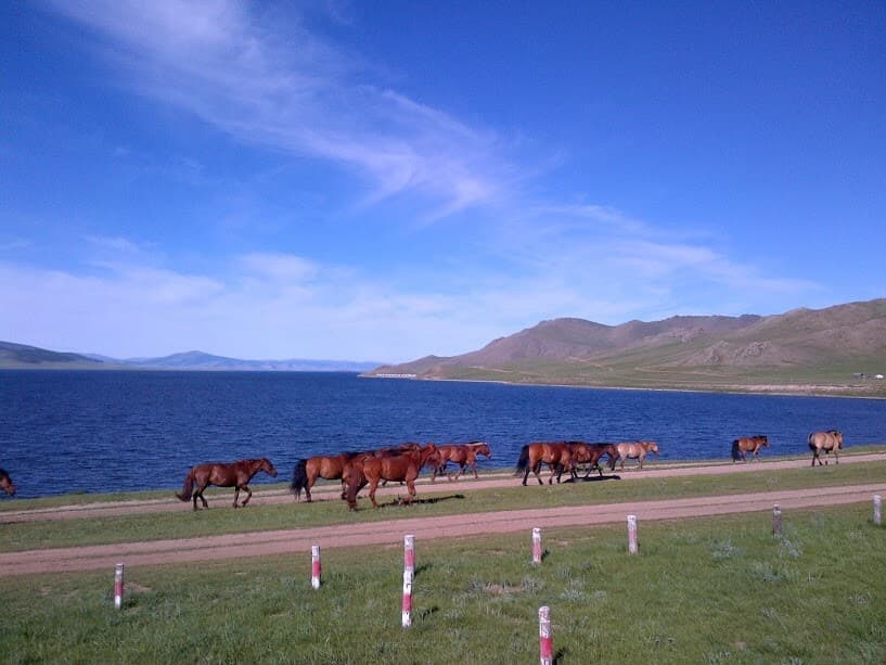 GREAT WHITE LAKE (TERKHIIN TSAGAAN NUUR)