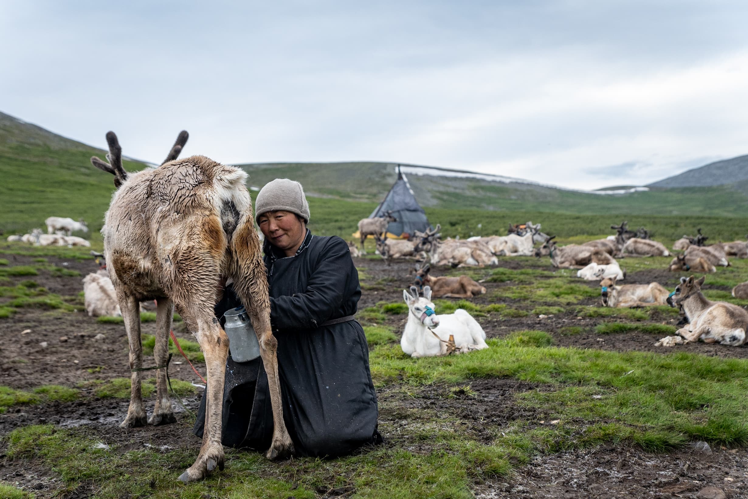 Tsaatan woman (Dukha people)